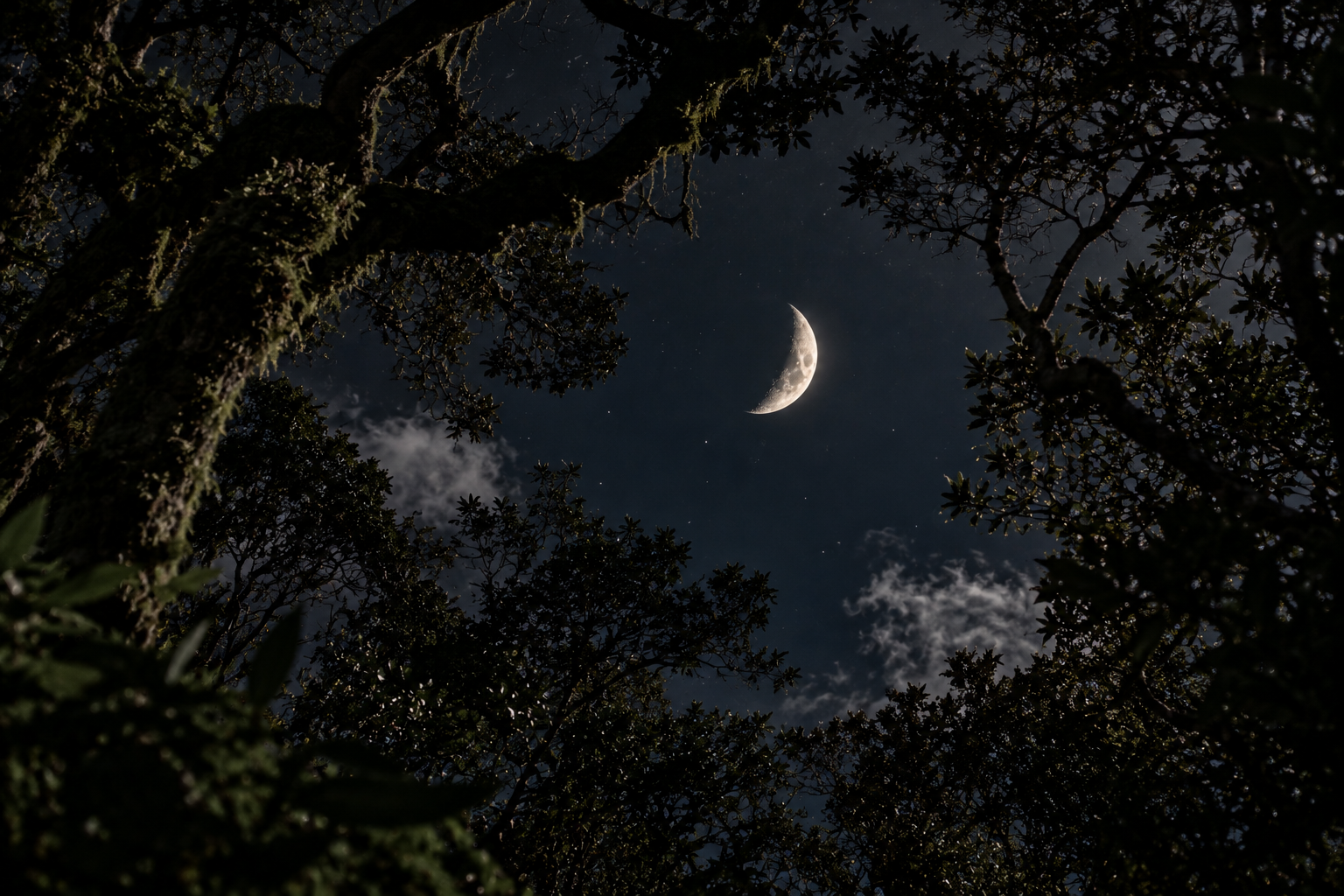 Où en est la Lune ce soir ?